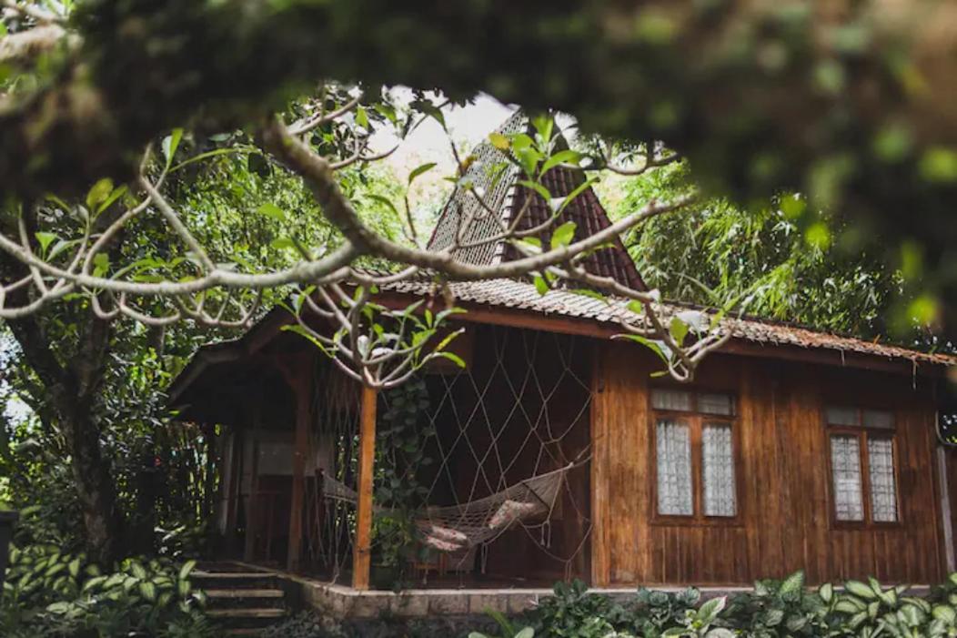 Resort Jungleroom Canggu Zewnętrze zdjęcie