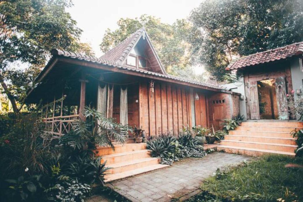Resort Jungleroom Canggu Zewnętrze zdjęcie