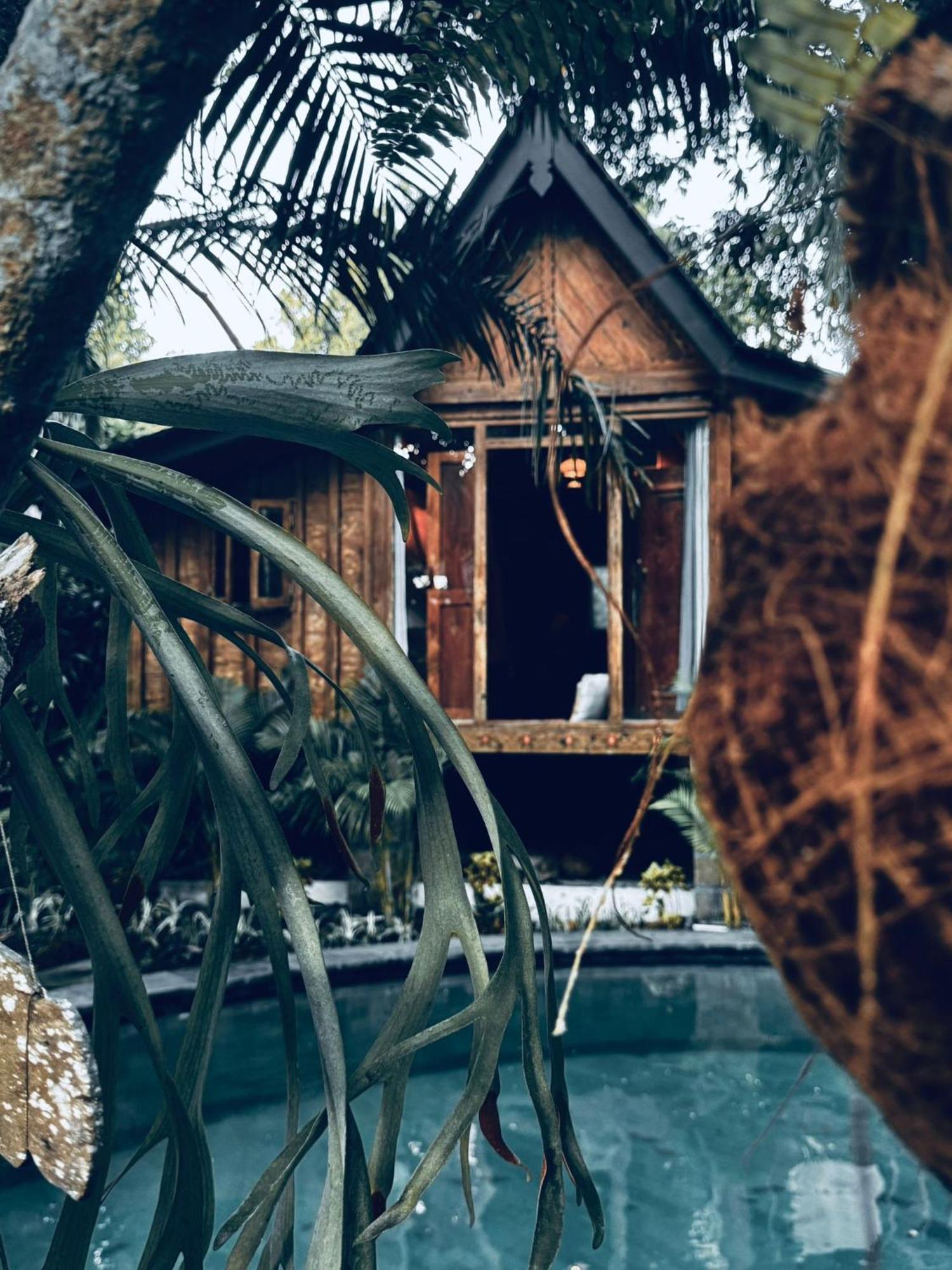 Resort Jungleroom Canggu Zewnętrze zdjęcie